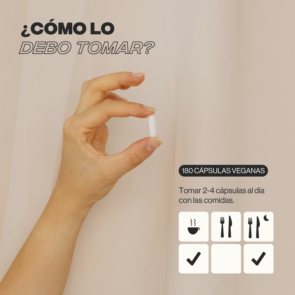 L-Carnitina - 180 Cápsulas Veganas