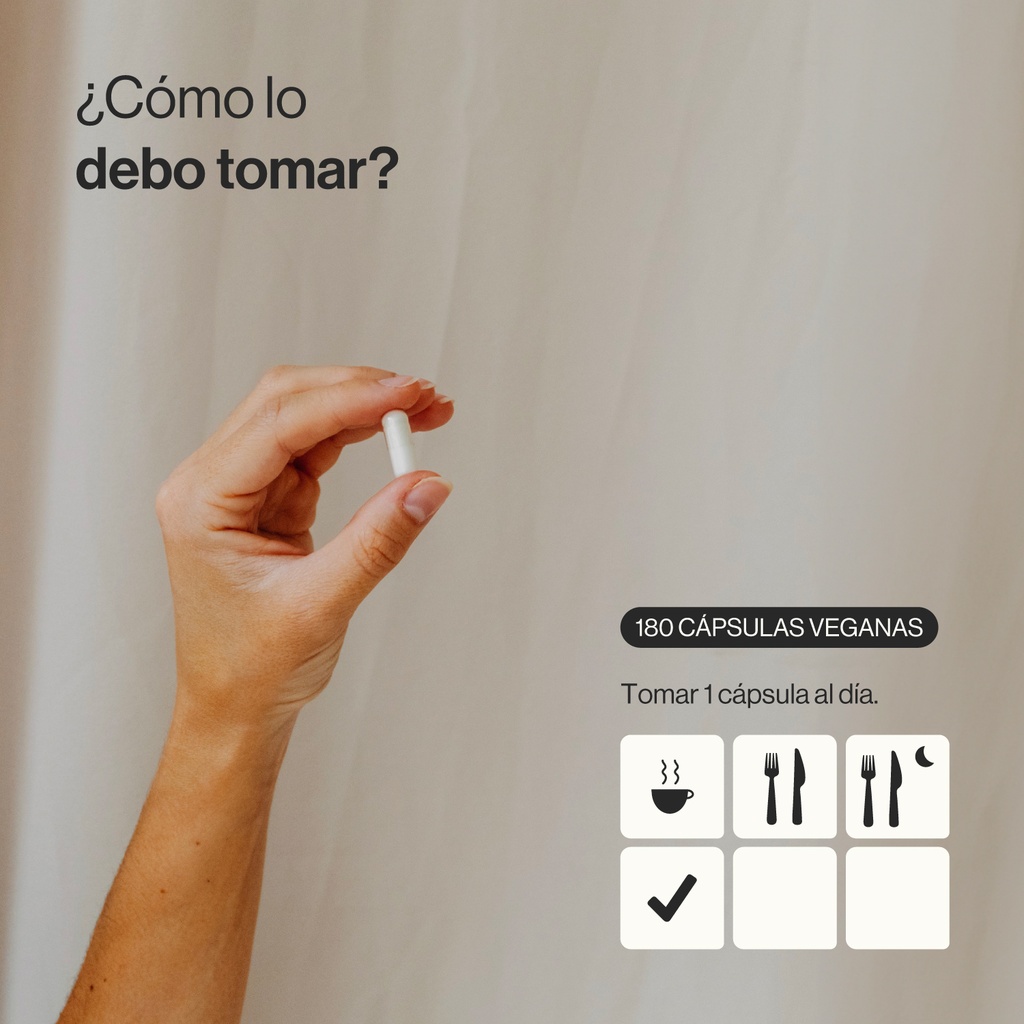 NAC - 180 Cápsulas Veganas