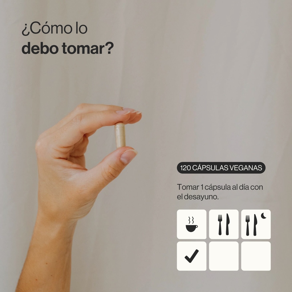 Nootrópico - 120 Cápsulas Veganas