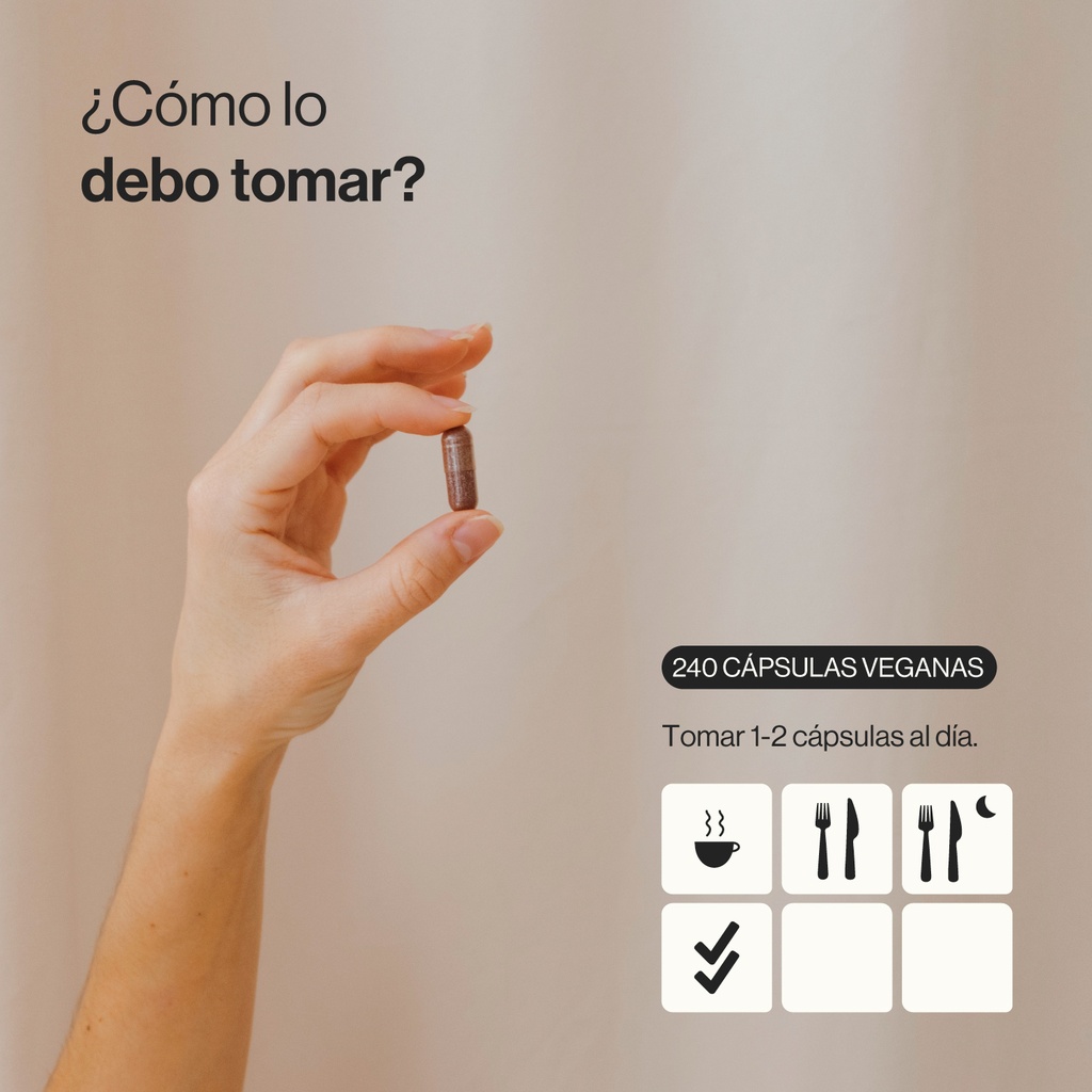OPC - 240 Cápsulas Veganas