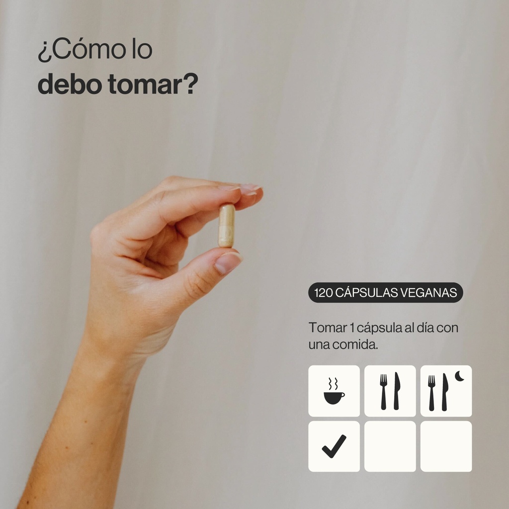 Ashwagandha Ecológica KSM-66 - 120 Cápsulas Veganas