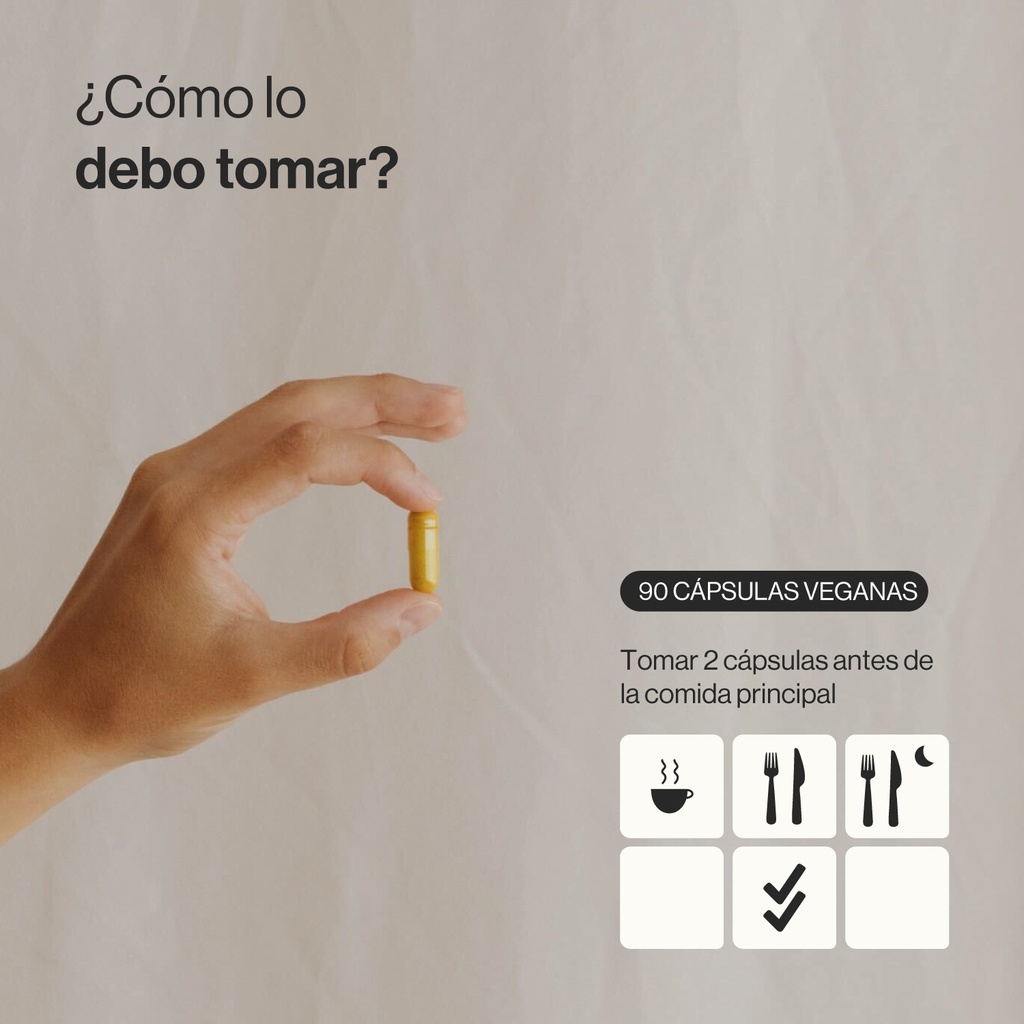 BerbeGlucid - 90 Cápsulas Veganas