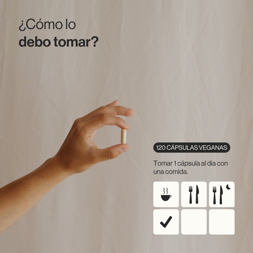 Extracto de Panax Ginseng - 120 Cápsulas Veganas