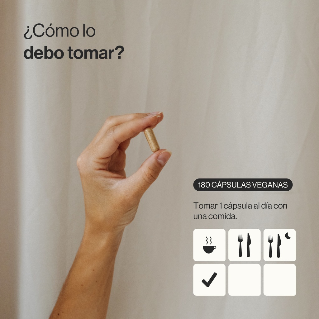 Extracto de Reishi Ecológico - 180 Cápsulas Veganas