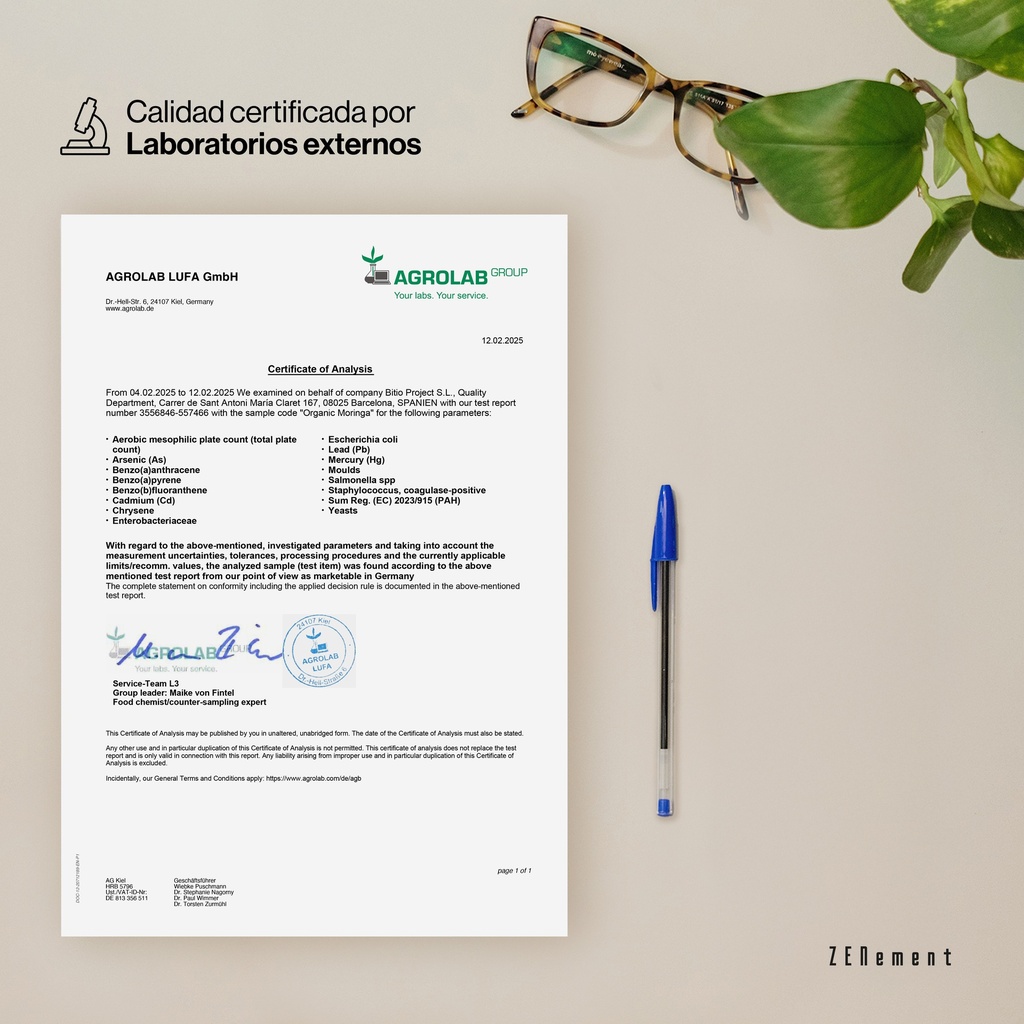 Moringa Ecológica - 260 Cápsulas Veganas