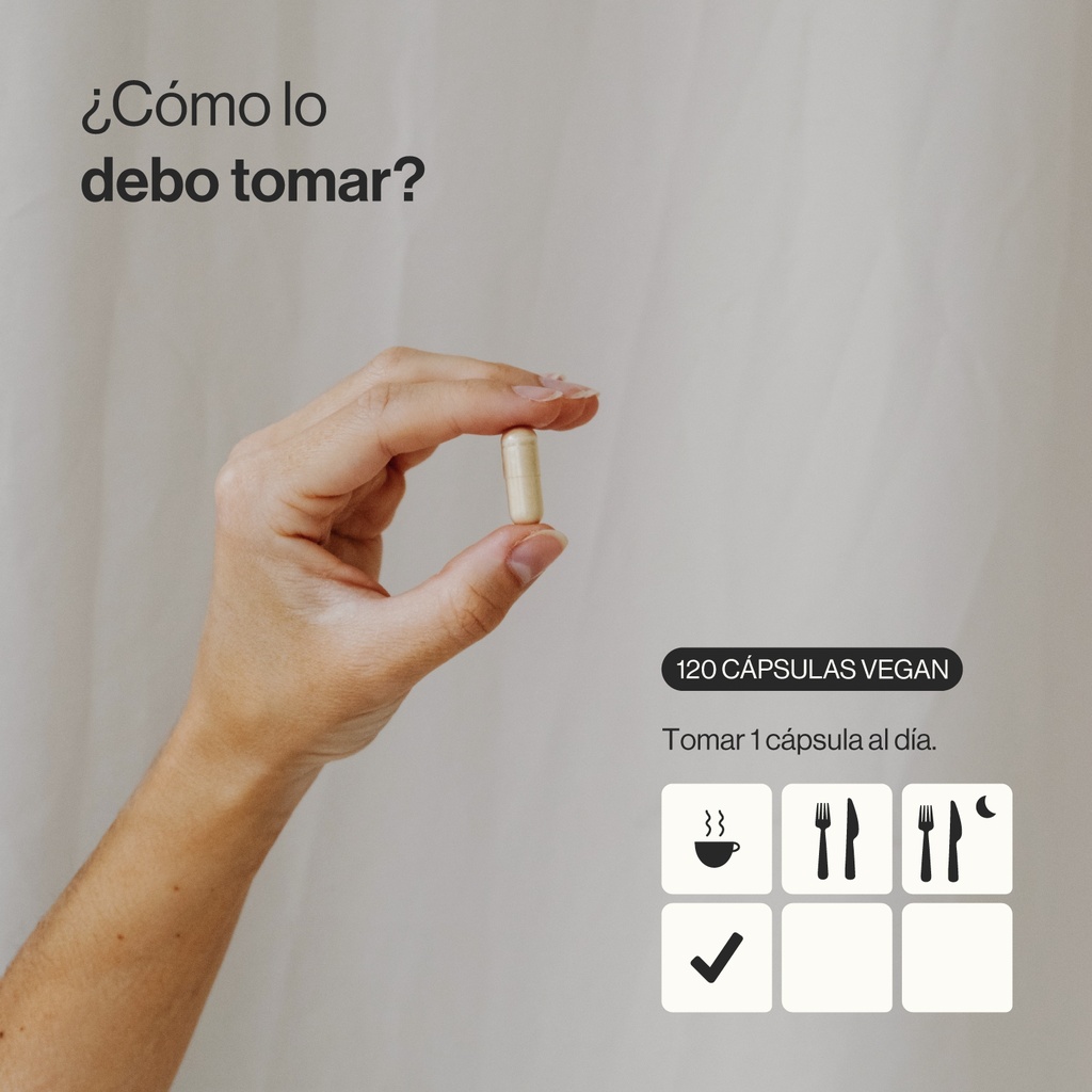 Extracto de Melena de León Ecológico - 120 Cápsulas Veganas