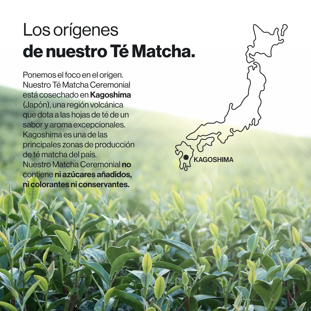 Té Matcha Japonés Ecológico - 80 g