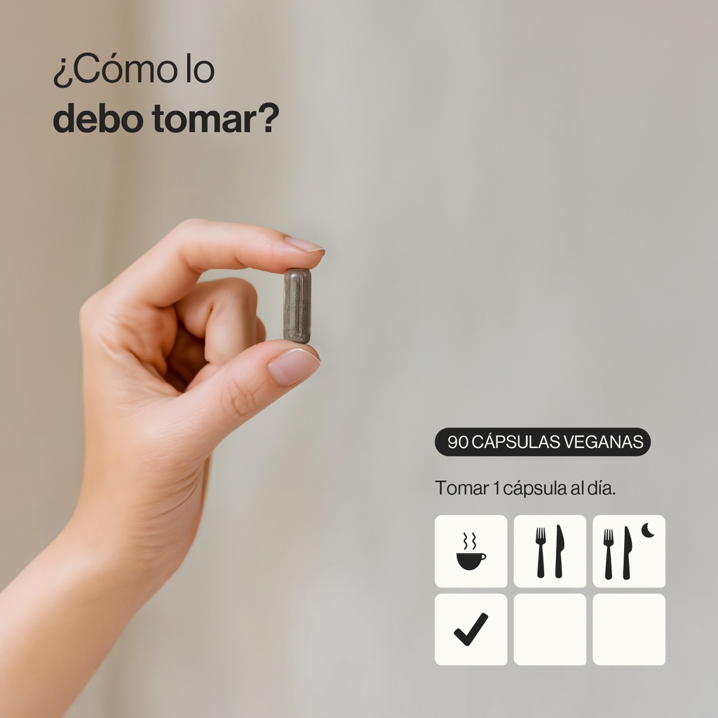 Iron Zen - 90 Cápsulas Veganas