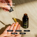 Aceite de CBD - 30ml Veganos