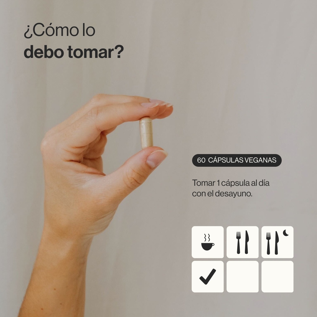 (New) - Nootrópico (60 cápsulas veganas) 